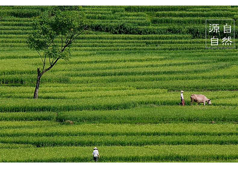 南北行花菇特级野生广式煲汤干货菇类菌菇煲汤食材(图14)