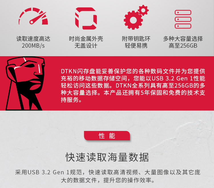 ingston/金士顿DTKN(图2)